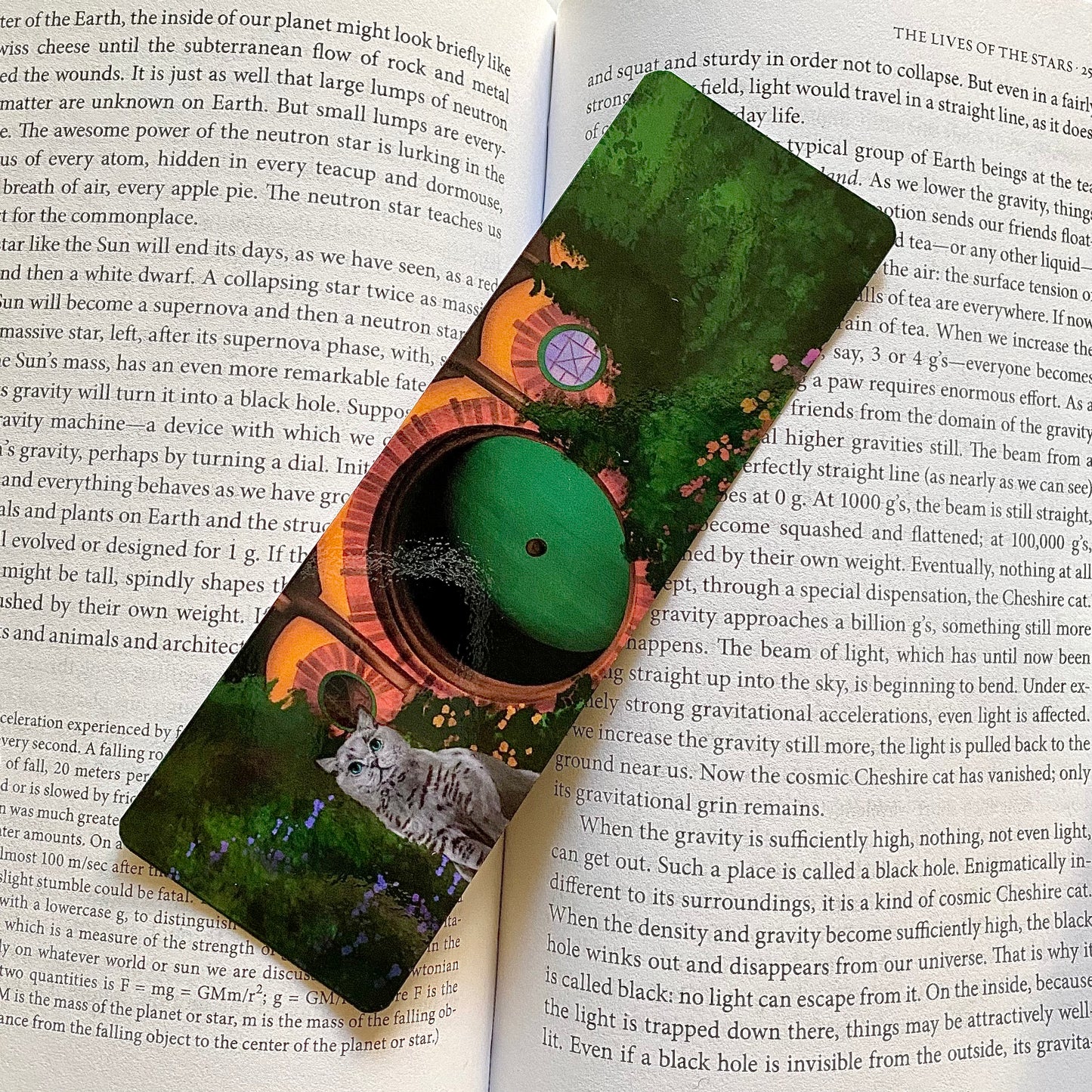 Concerning Kittens Bookmark