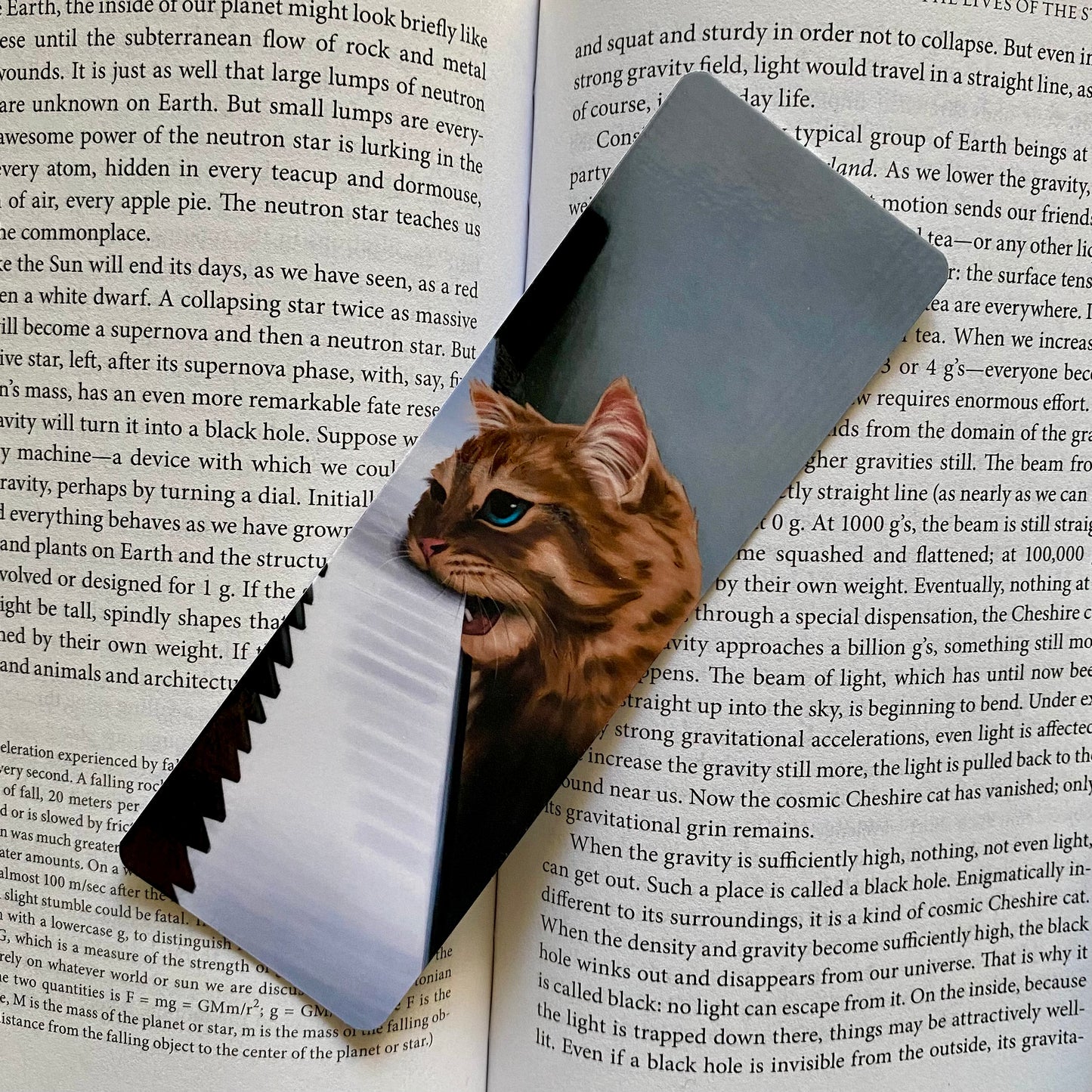 Meowzart Bookmark