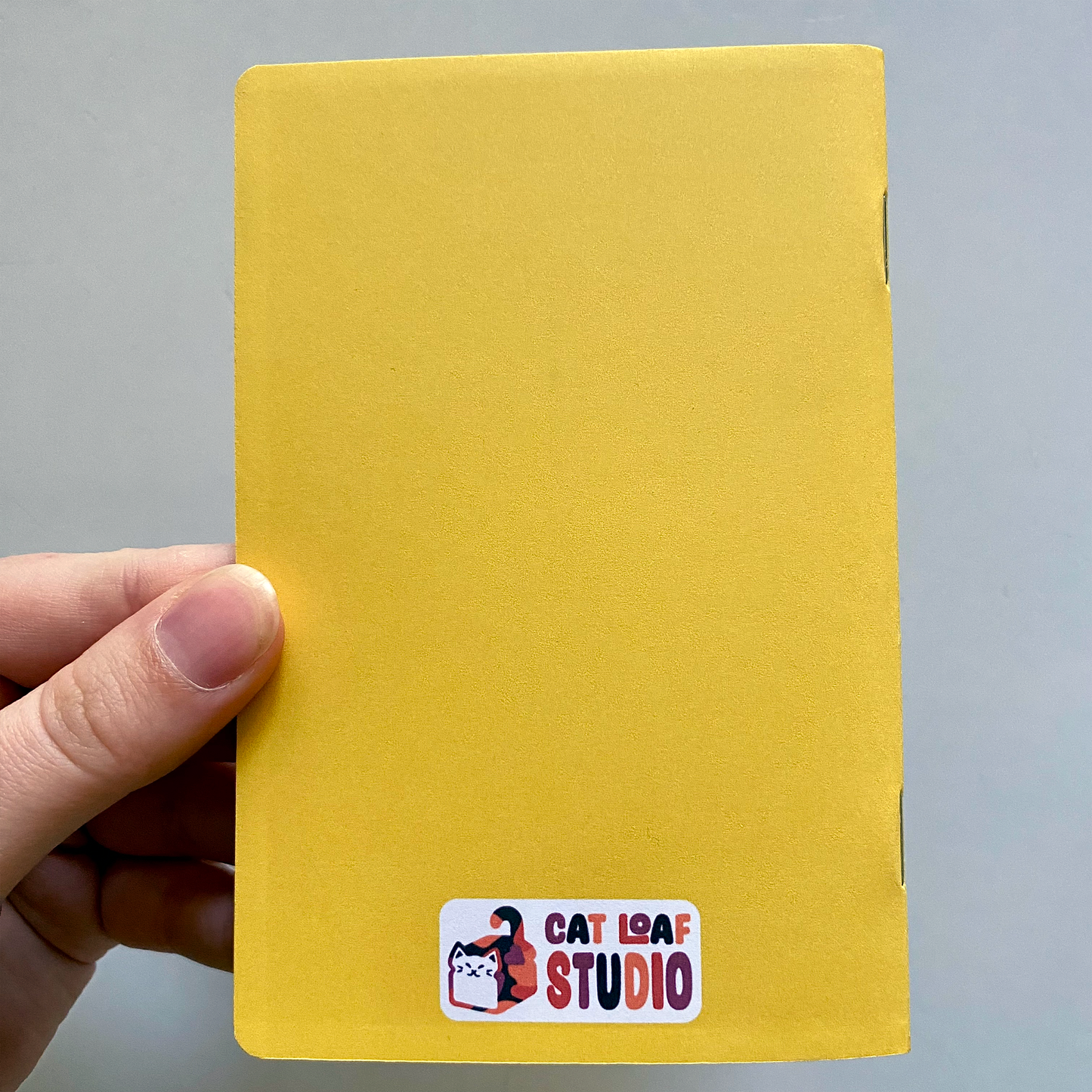 Paws-itively Intrigued Pocket Notebook