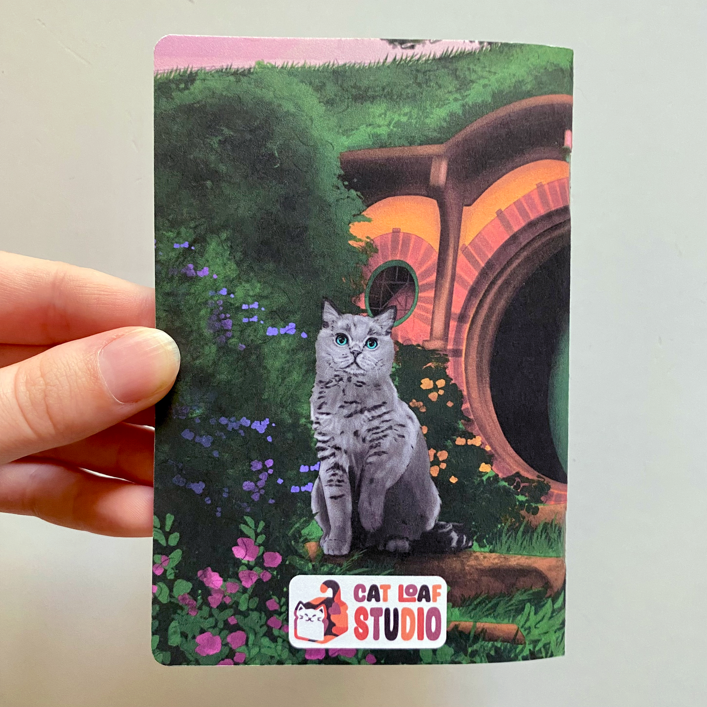 Concerning Kittens Pocket Notebook