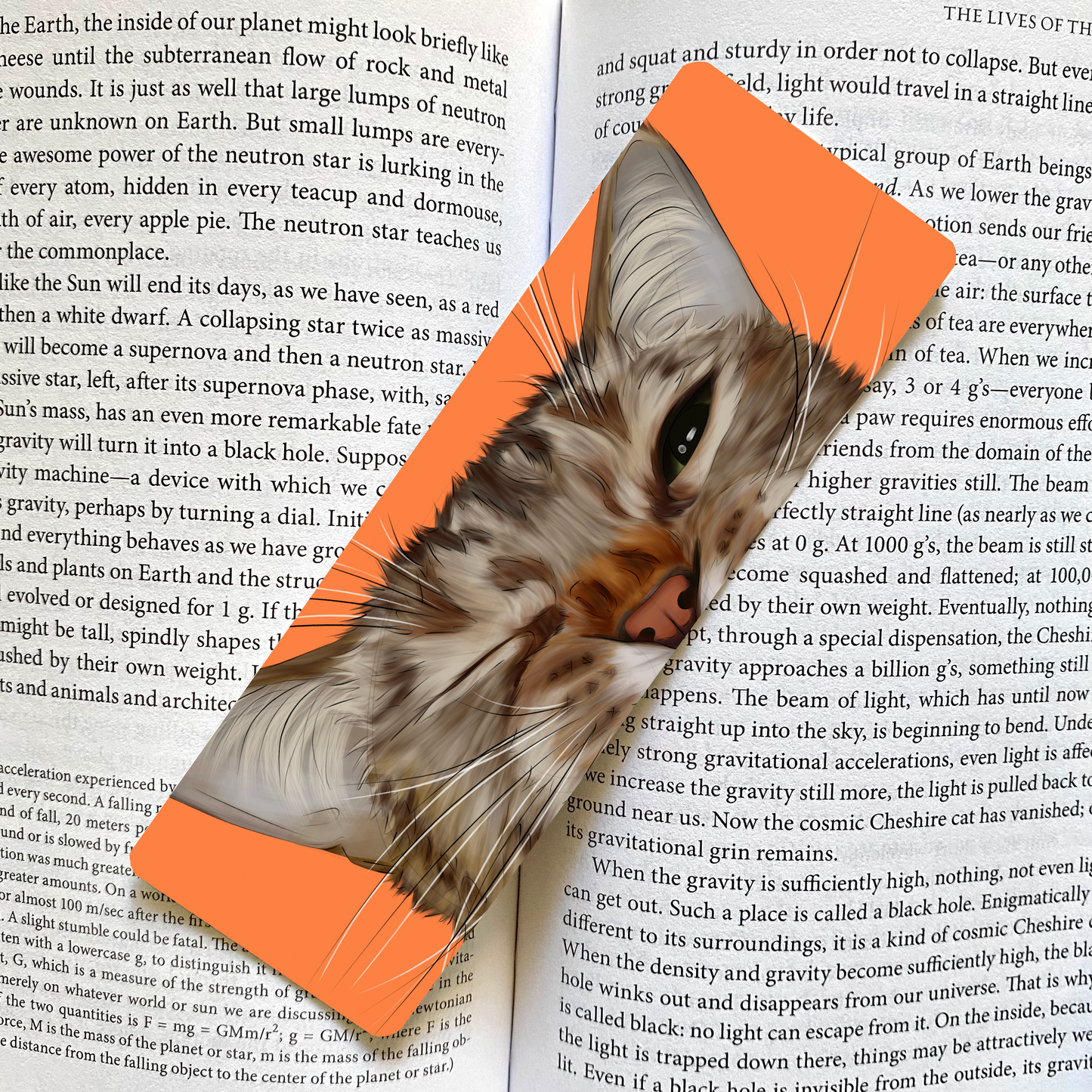 Whisker Wink Bookmark