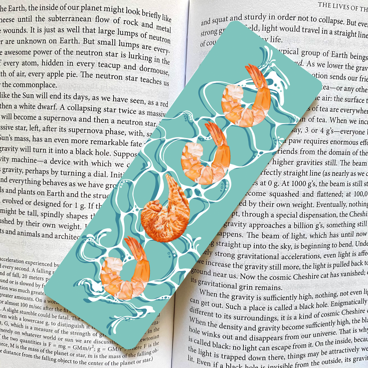 Cat Shrimp Bookmark