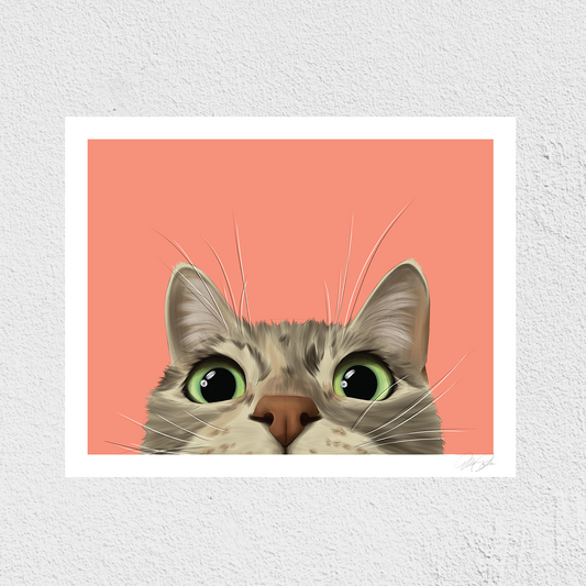 Peeking Dilute Tortie Art Print