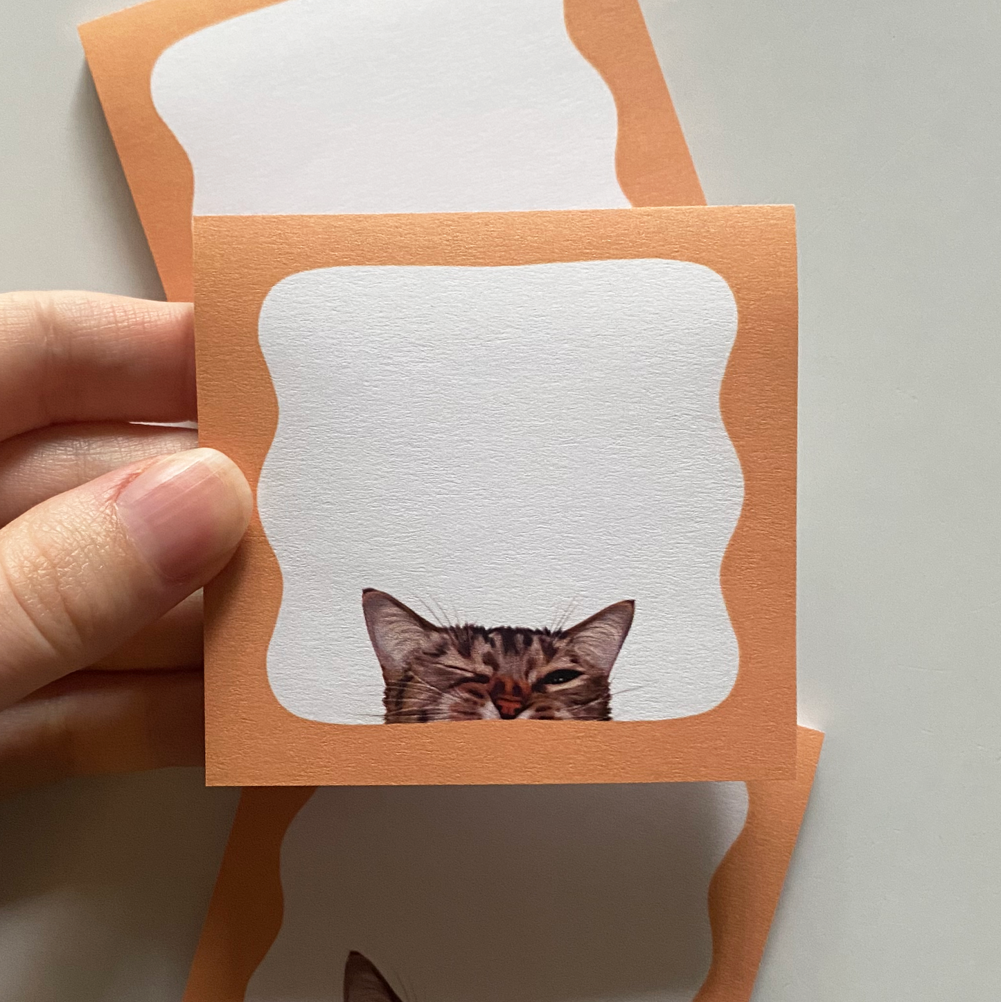 Peeking Cat Post-It Note (Orange)