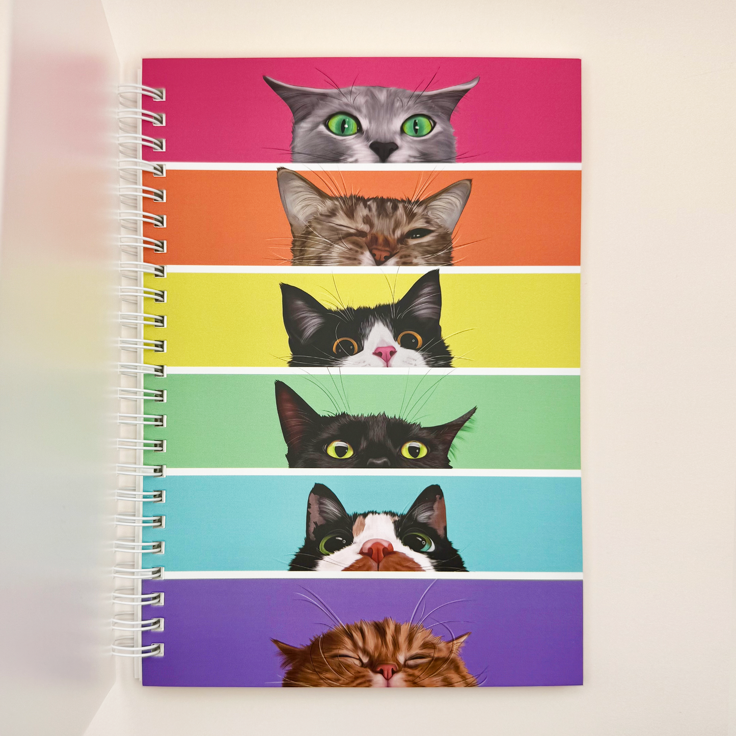 Rainbow Kitties Reusable Sticker Collecting Book