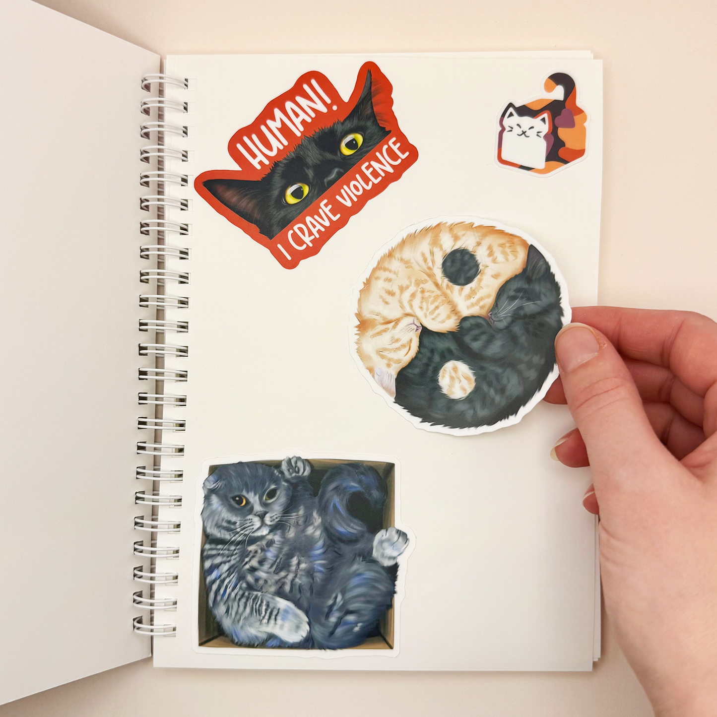 No Thoughts Just Stickers Reusable Sticker Collecting Book