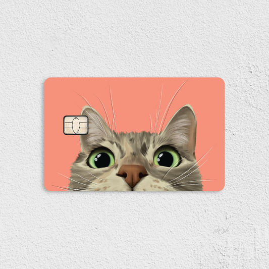 Peeking Dilute Tortie Credit Card Skin