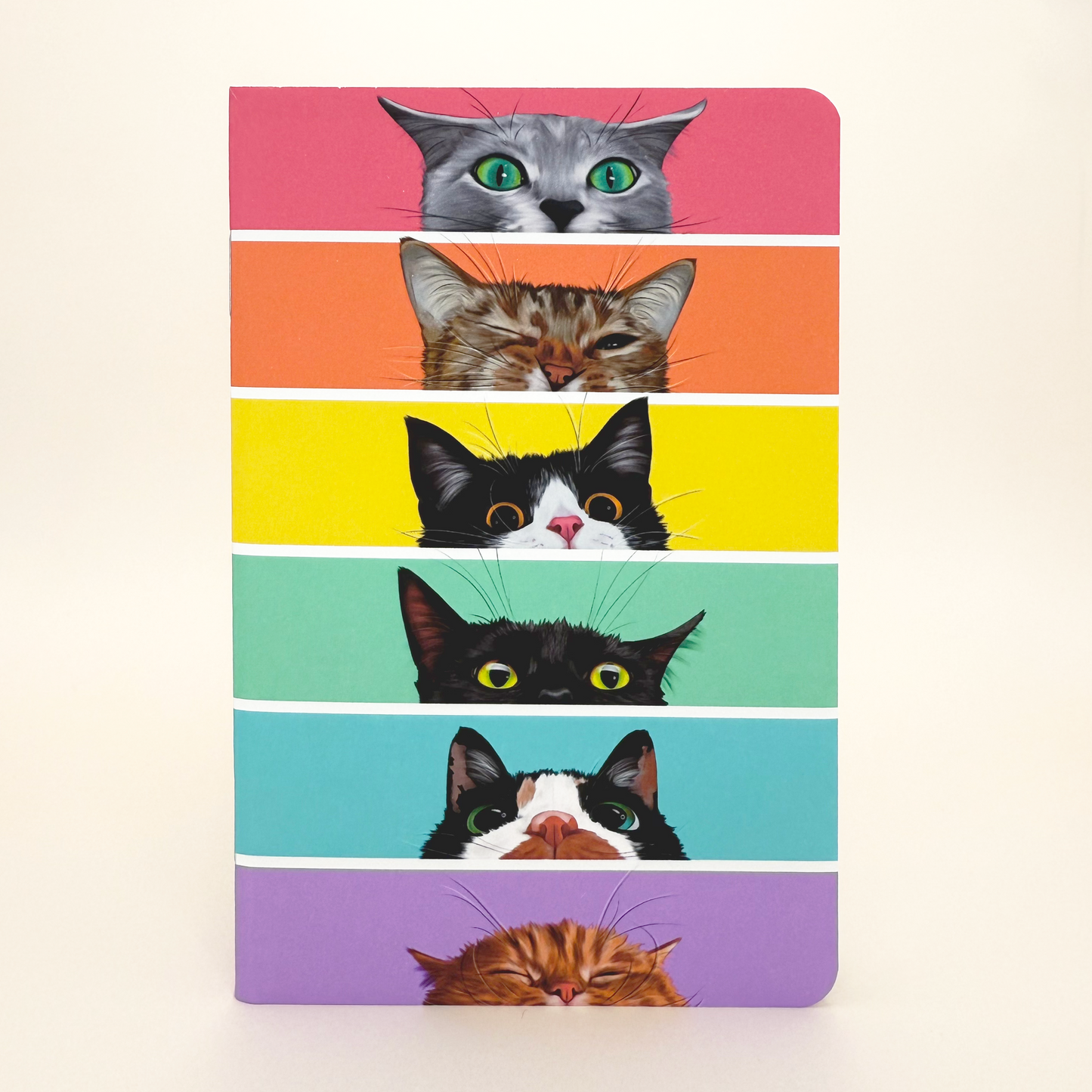 Peeking Rainbow Cats Pocket Notebook