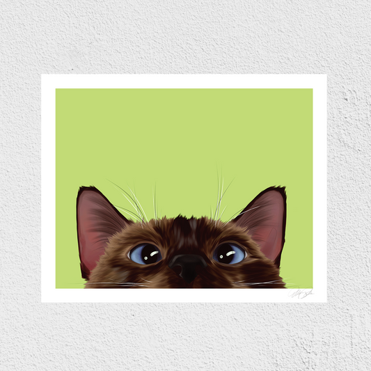 Peeking Siamese Art Print